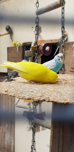 Quarry Road Play Park 20250808 191452 005