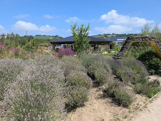 Quince Honey Farm 20250808 195850 004