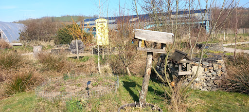 Quince Honey Farm 20250808 195903 019