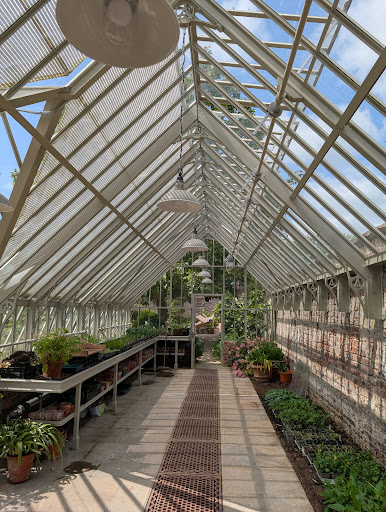 Raby Castle Park and Gardens 20250808 154737 009