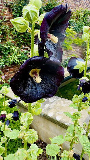 Raby Castle Park and Gardens 20250808 154741 013