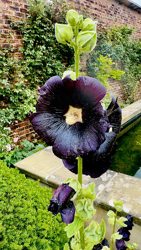 Raby Castle Park and Gardens 20250808 154741 014