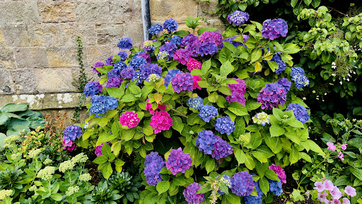 Raby Castle Park and Gardens 20250808 154742 015