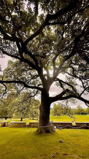 Raby Castle Park and Gardens 20250808 154743 016