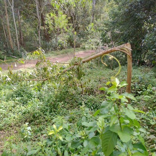 Rafting Ground Reserve 20250824 023549 001