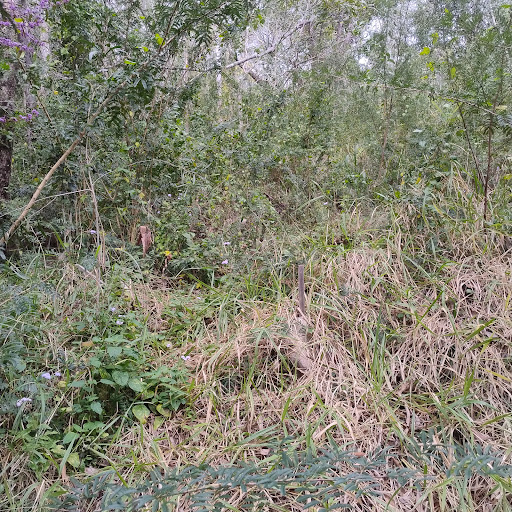 Rafting Ground Reserve 20250824 023550 002