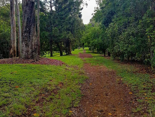 Rafting Ground Reserve 20250824 023552 005