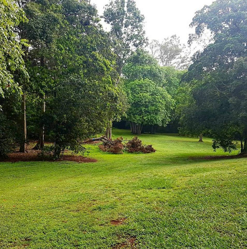 Rafting Ground Reserve 20250824 023553 006