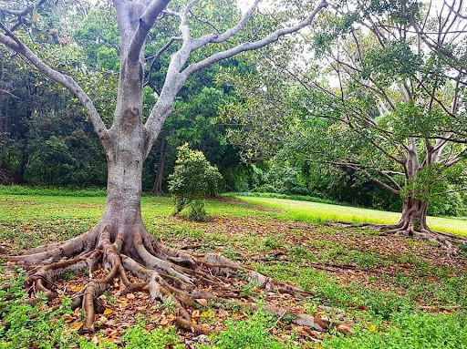 Rafting Ground Reserve 20250824 023555 008