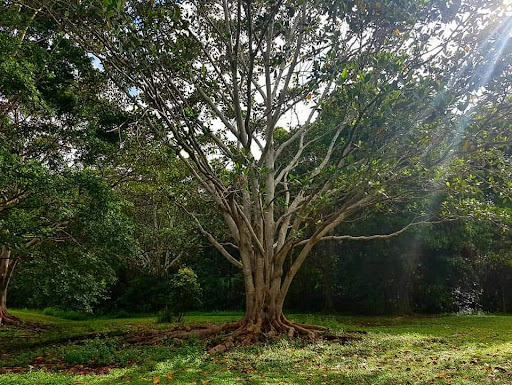 Rafting Ground Reserve 20250824 023555 009