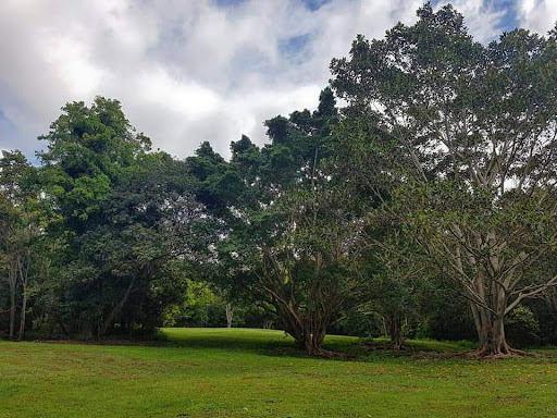 Rafting Ground Reserve 20250824 023556 010