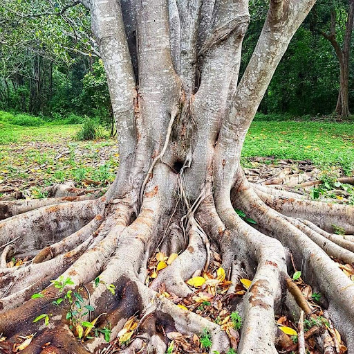 Rafting Ground Reserve 20250824 023557 011