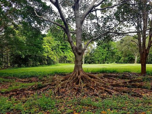 Rafting Ground Reserve 20250824 023558 012