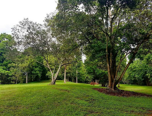 Rafting Ground Reserve 20250824 023559 013