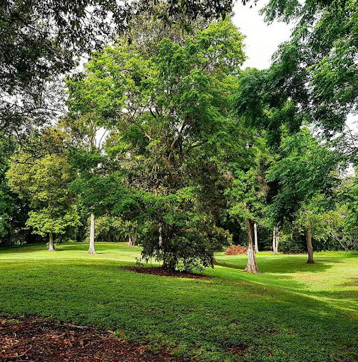 Rafting Ground Reserve 20250824 023600 015