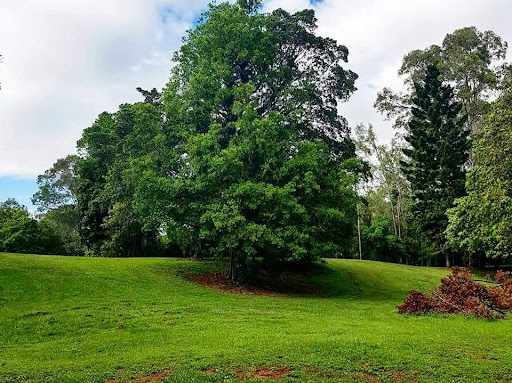 Rafting Ground Reserve 20250824 023601 016