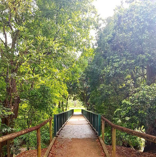 Rafting Ground Reserve 20250824 023603 018