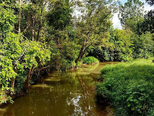 Rafting Ground Reserve 20250824 023603 019