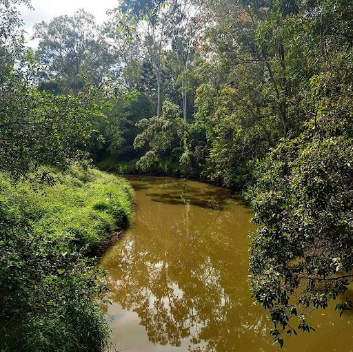 Rafting Ground Reserve 20250824 023604 020