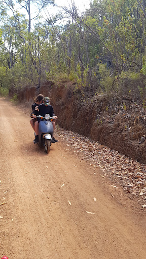 Railway Reserve Heritage Trail 20250824 020232 003