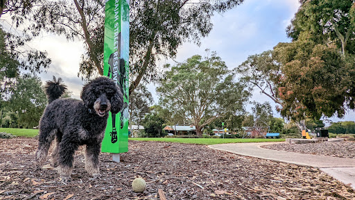 Rajah Street Reserve 20250824 015402 005