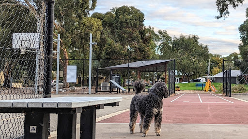 Rajah Street Reserve 20250824 015404 008