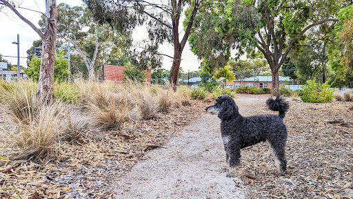 Rajah Street Reserve 20250824 015406 011