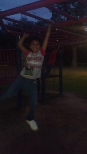 Ray Trent Park 20250726 214928 011