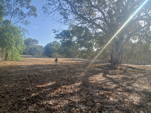 Reid Reserve playground 20250824 040702 010