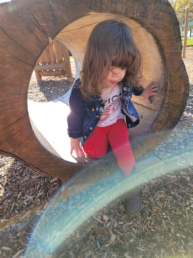 Reservoir Park 20250727 132335 003