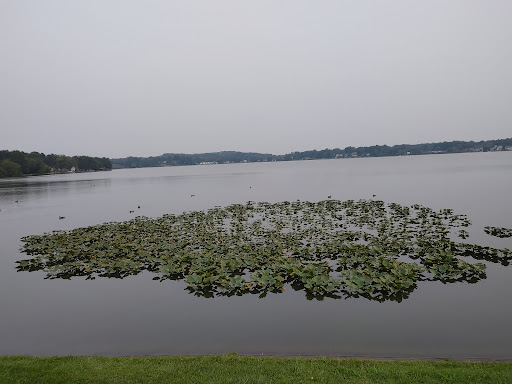 Reservoir Park 20250727 132340 009