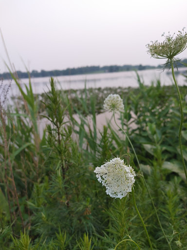 Reservoir Park 20250727 132342 011