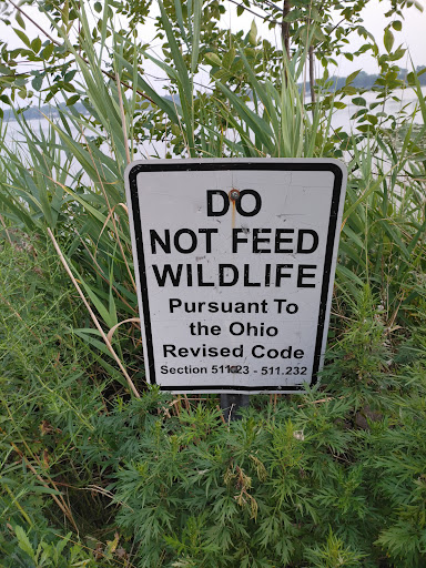 Reservoir Park 20250727 132343 012