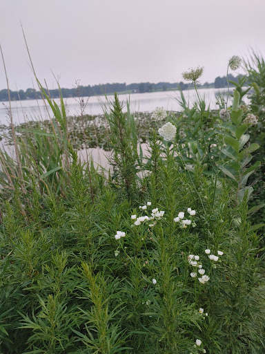 Reservoir Park 20250727 132345 014