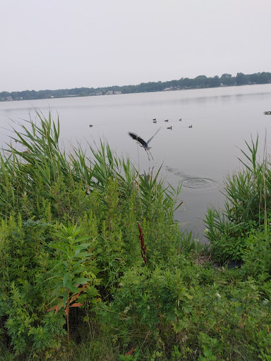 Reservoir Park 20250727 132346 015