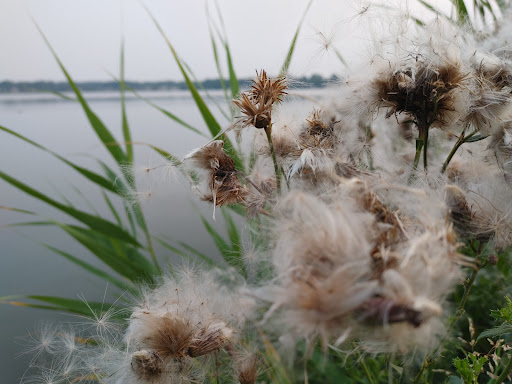 Reservoir Park 20250727 132350 019