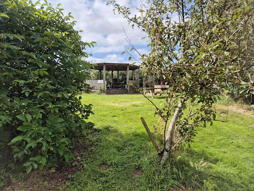 Reston Riverside 20250808 151425 001