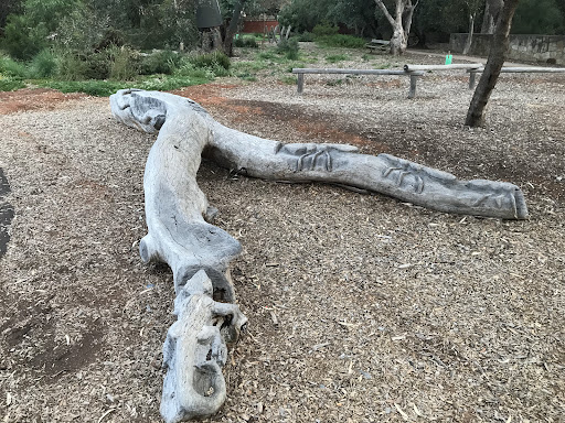 Ridge Park 20250824 014306 004