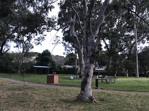 Ridge Park 20250824 014311 011