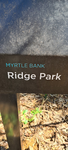 Ridge Park 20250824 014314 015