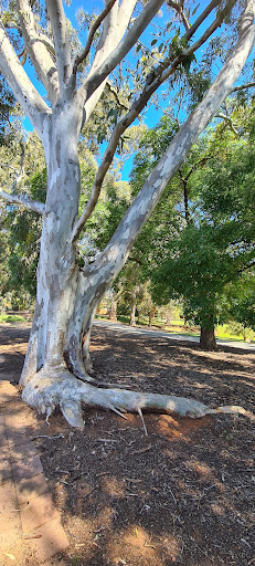 Ridge Park 20250824 014318 020