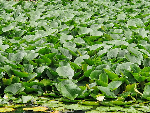 Riverside Play Area 20250808 175956 001