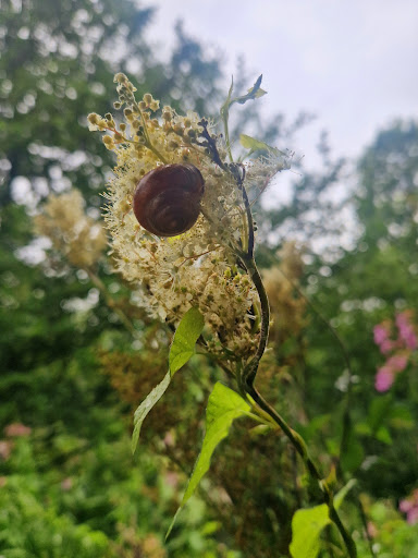 Riverside Play Area 20250808 175958 004