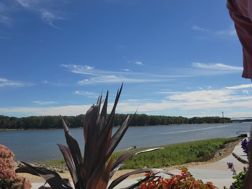 Riverview Park 20250727 044959 015