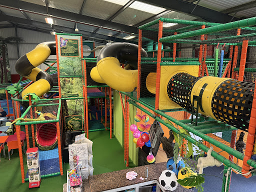 Roarsome Soft Play 20250808 154654 001
