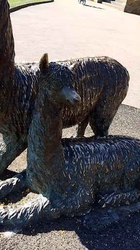 Roberts Park 20250808 161234 008