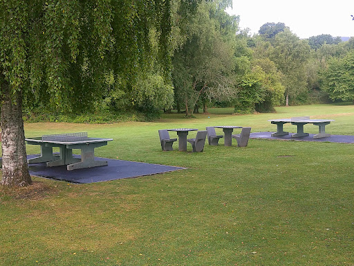 Rogerstone Welfare Ground 20250808 185454 005