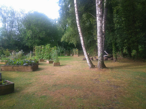 Rogerstone Welfare Ground 20250808 185456 008