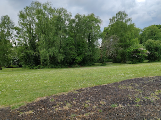 Rogerstone Welfare Ground 20250808 185502 014