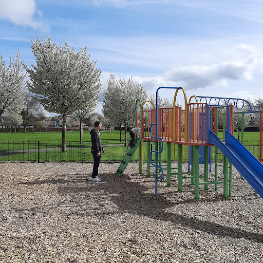 Roslin Play Park 20250808 152416 003